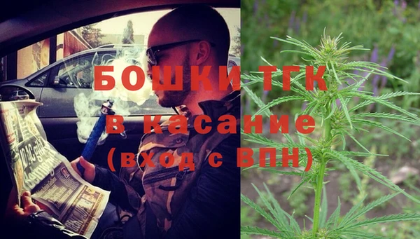 шишки Алзамай