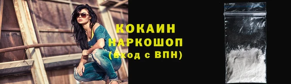 шишки Алзамай