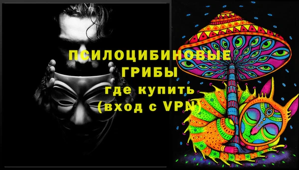 ECSTASY Алексин