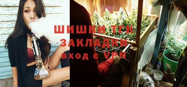 шишки Алзамай
