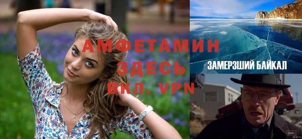 шишки Алзамай
