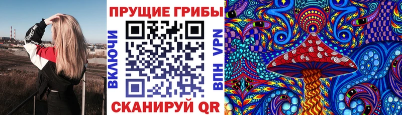 Галлюциногенные грибы GOLDEN TEACHER  mega зеркало  Чусовой  где купить наркотик 