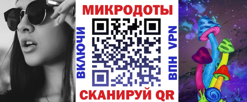 Псилоцибиновые грибы Psilocybe Чусовой
